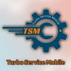 tsm tool